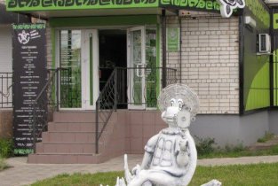 Белая черепаха