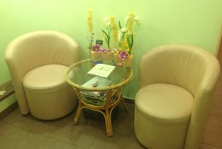 Neroli (Нероли) в микрорайоне Горский