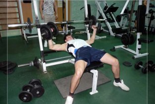 Body Solid (Бади Салид)