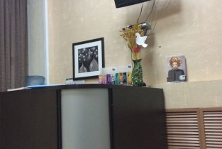 Селена на на проспекте 50 лет Октября