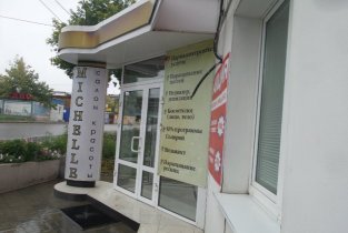 Miсhelle (Мишэль)