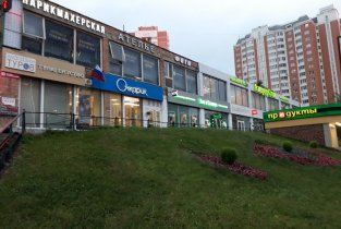 Дебют