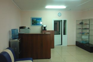 Клиника осанки