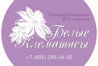 Белые клематисы