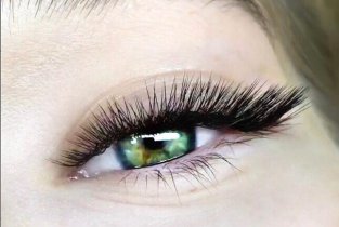 Brows Lab