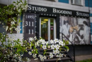 BIGODINI STUDIO