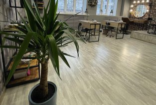 Wish nail studio