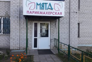 Мята
