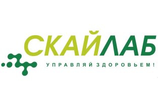 Скайлаб на улице Гагарина