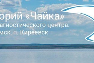 Чайка