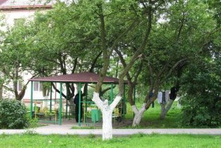 Противотуберкулезный диспансер Калининградской области