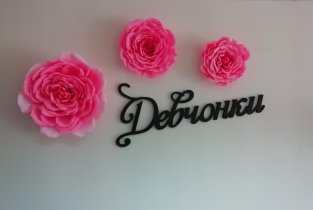 Девчонки