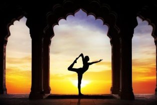 Yoga Veter