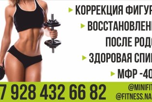Мини Фит