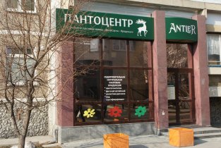 Антлер