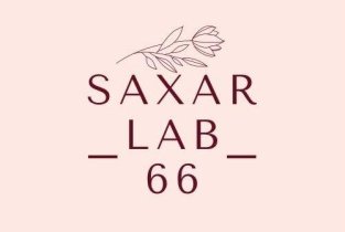 Saxar_lab_66
