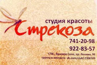 Стрекоза