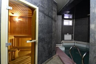 Золотой лев