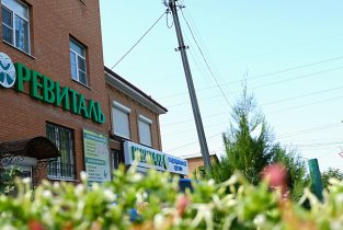 Ревиталь