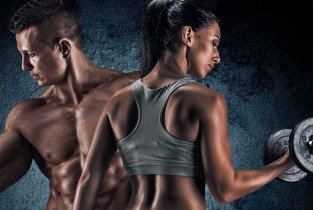 The fitness arena