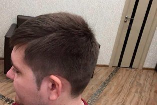 Райская птица