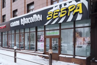 Зебра