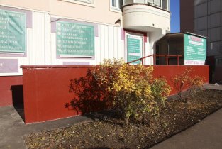Медицина