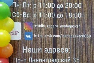 Мадагаскар на Ленинградском проспекте в Железногорске