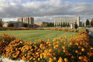 Тонус