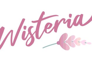 Wisteria