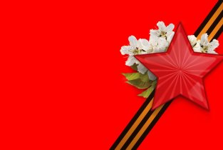 Чио чио на улице Антонова
