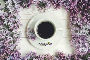 Berrynails