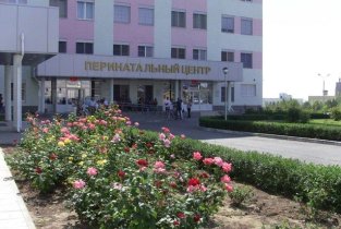 Перинатальный центр №2