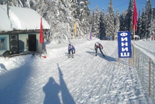 Дирекция Спортивных Сооружений Хабаровского Края