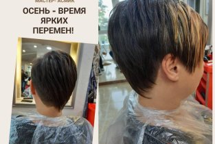 Элис