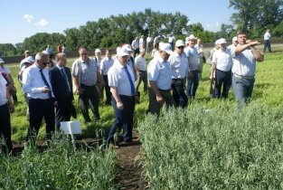 Мордовский научно-исследовательский институт сельского хозяйства ФГБНУ ФАНЦ Северо-Востока им. Н.В. Рудницкого