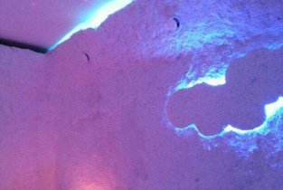 Salt Mine