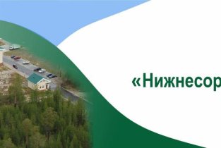 Нижнесортымская участковая больница