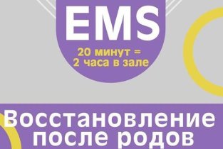 Ems fit mod