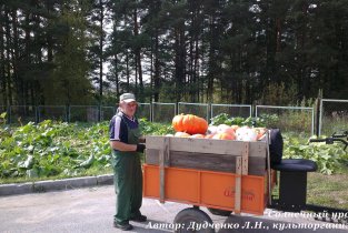 Маслянинский комплексный социально-оздоровительный центр