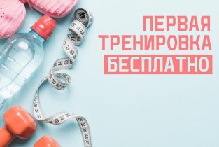 Аллеко