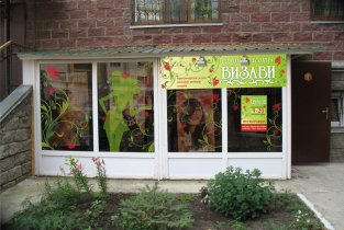 Визави