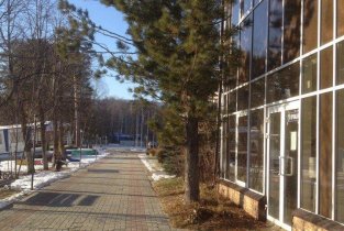 Форелька