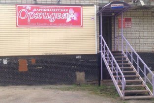 Орхидея на Воркутинской улице, 5