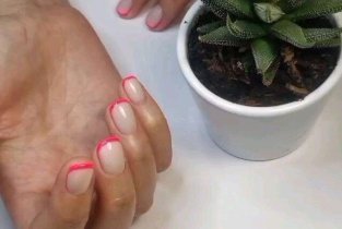 Orange style & SPA