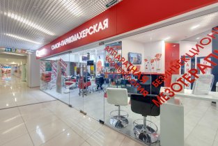 Стриж на проспекте Королева в Королёве