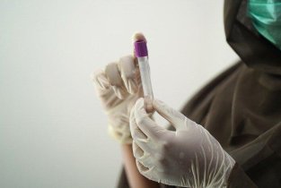 Хеликс в Донском