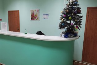 Новая жизнь