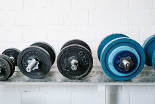 Zebragym