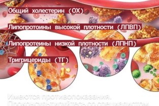 Первая медицинская лаборатория-Орск на улице Суворова